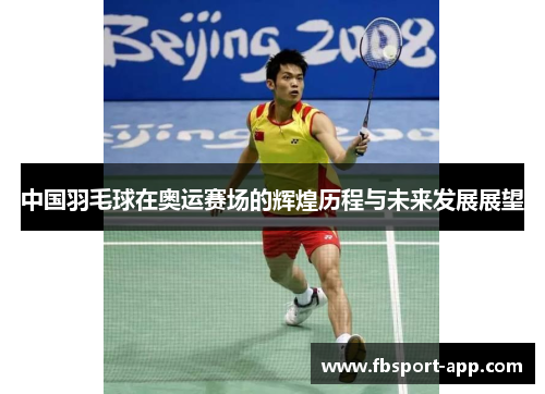中国羽毛球在奥运赛场的辉煌历程与未来发展展望